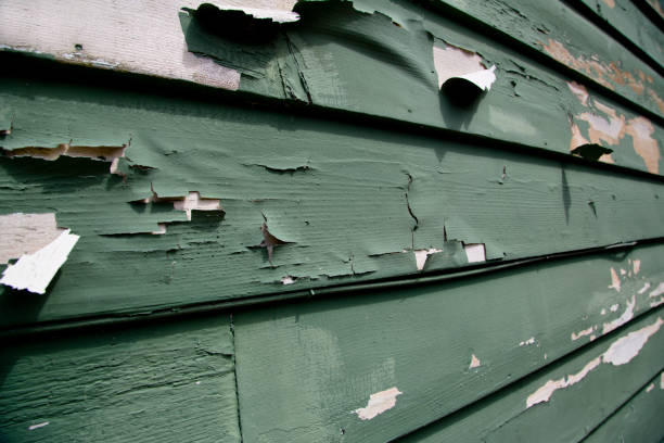 Best Property Management Cleanouts  in Lower Burrell, PA